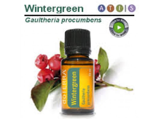 Wintergreen - esenciálny olej15ml